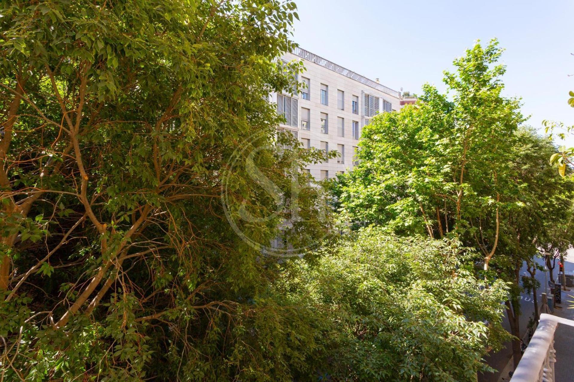 Hermoso Cerca De Plaza Universitat Apartament *